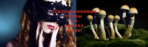 прущий лед Горняк
