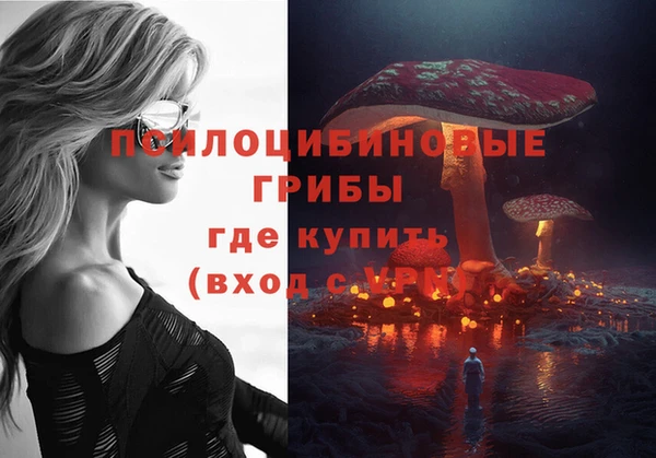 меф Горнозаводск