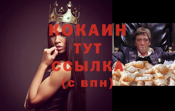 прущий лед Горняк